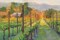 Silverado Afternoon Poster Print by Christine Debrosky - Item # VARPDXDCP102